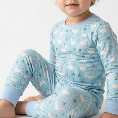 Bamboo Toddler Pajama Set | Silly Goose Gingham Vintage Blue